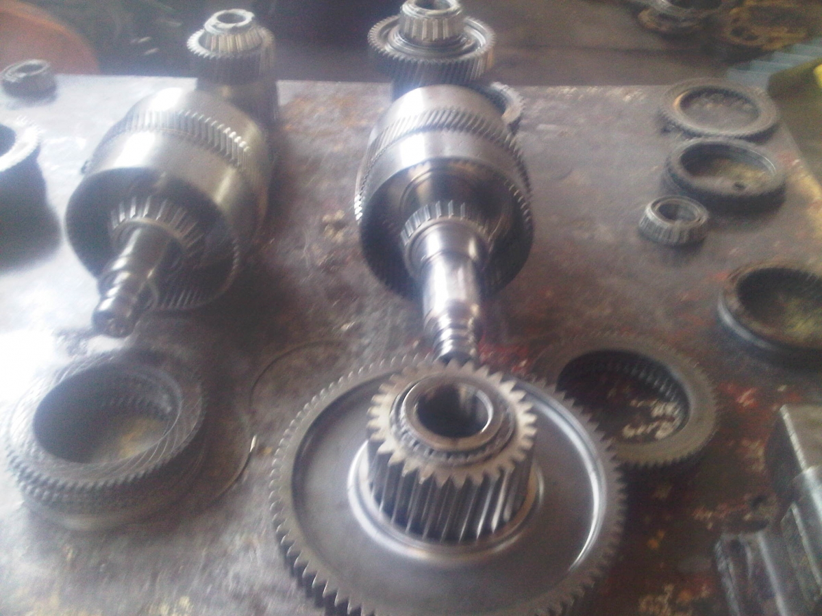 IMG00637-20111007-0924